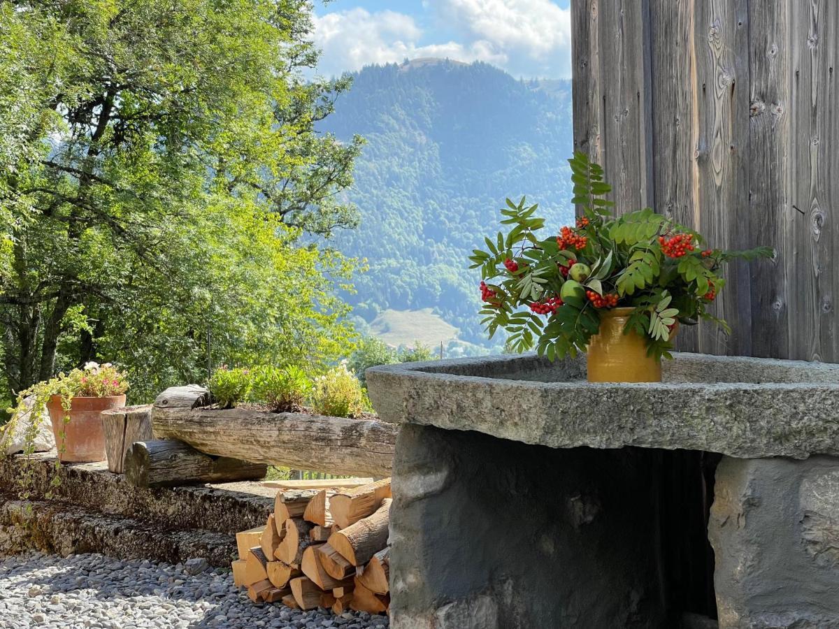 Chalet Alpage Proche Geneve Mégevette Exterior foto